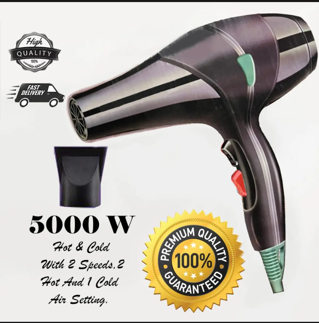 Electric Hair Dryer